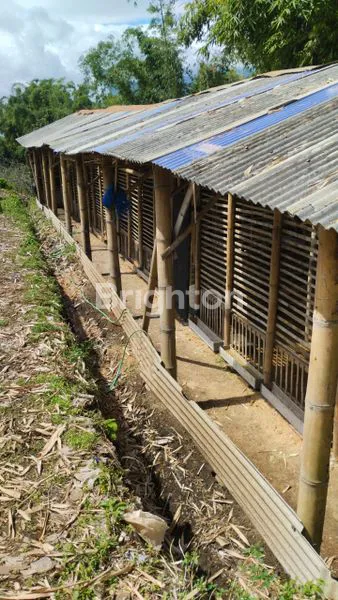 image TANAH DI BATU LUAS 1496M (5)