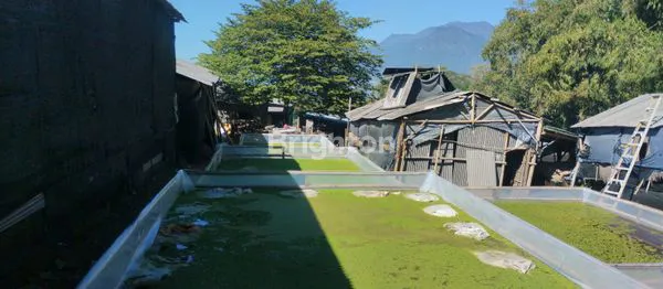 image TANAH DI BATU LUAS 1496M (1)