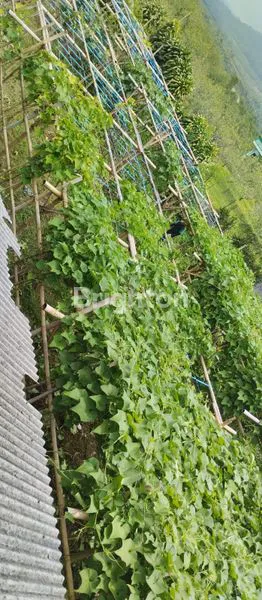 image TANAH DI BATU LUAS 1496M (2)