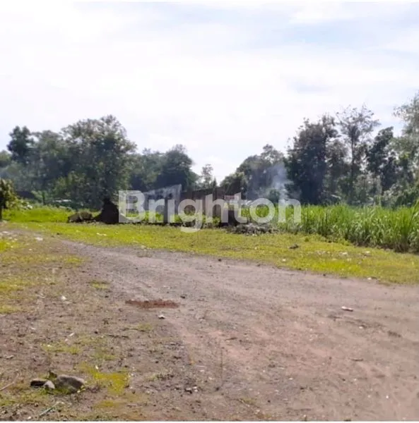 image TANAH STRATEGIS GEDANGSEWU, HARGA MURAH (1)