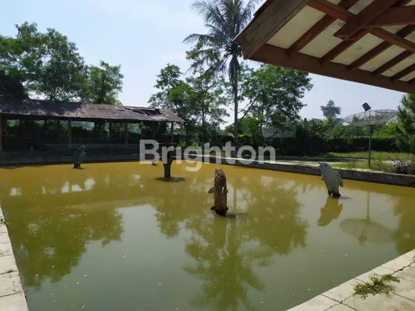 image INVESTASI VILLA EKSKLUSIF SUKABUMI (6)