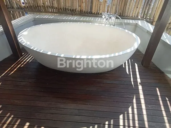 image FOR RENT CHARMING TROPICAL VILLA IN SEMINYAK  (5)