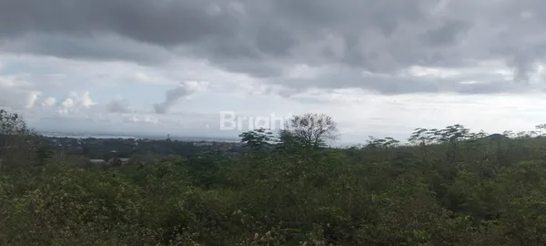 DIJUAL/DISEWA TANAH - BADUNG