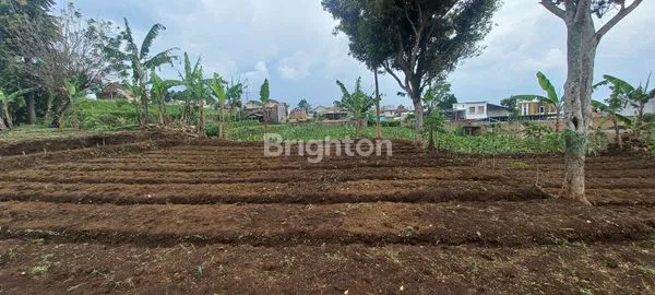 image TANAH LUAS 3470 KATUMIRI CIHANJUANG (2)