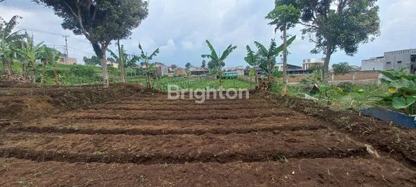 image TANAH LUAS 3470 KATUMIRI CIHANJUANG (3)