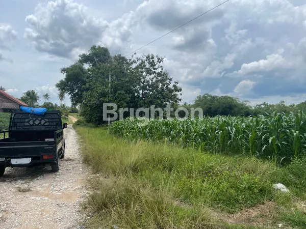 image TANAH NATAR LAMPUNG SELATAN (3)