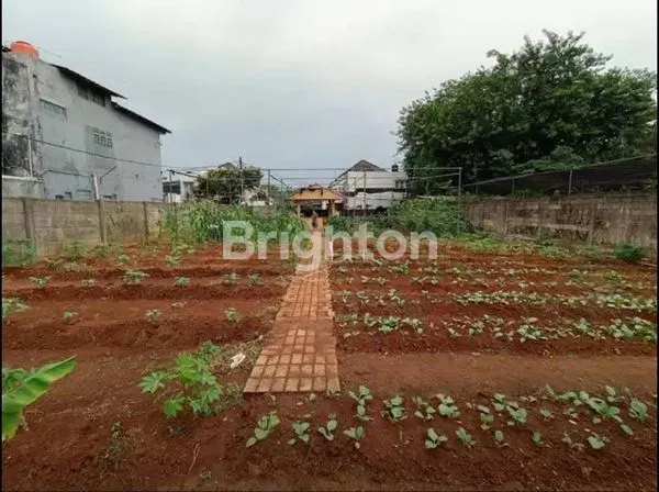 image TANAH STRATEGIS – JL. MERPATI RAYA / JL. ELANG, SAWAH LAMA CIPUTAT (1)