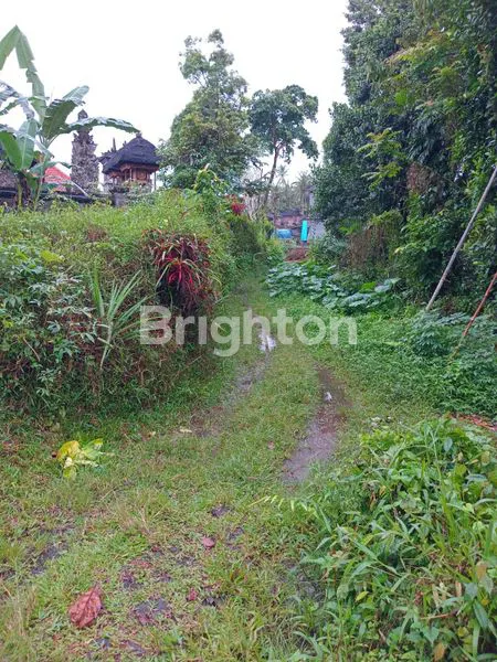 image “TANAH EKSOTIS PINGGIR SUNGAI SUNGI – LOKASI IMPIAN UNTUK VILLA ALAM DI TABANAN” (3)