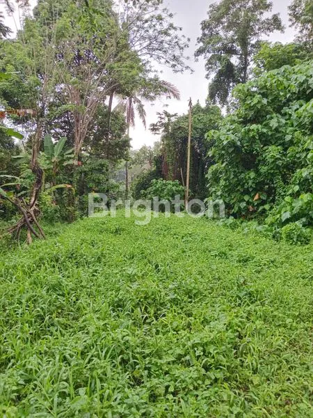 “TANAH EKSOTIS PINGGIR SUNGAI SUNGI – LOKASI IMPIAN UNTUK VILLA ALAM DI TABANAN”