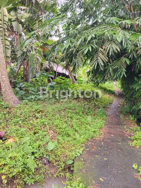 image DIJUAL TANAH ASRI DI MARGA – COCOK UNTUK VILLA & INVESTASI”\N (2)