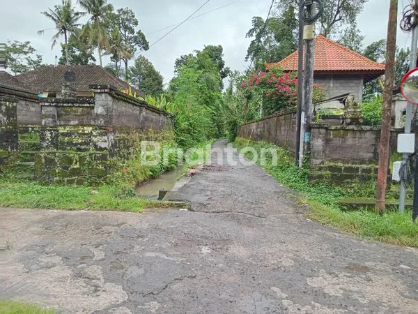 image DIJUAL TANAH ASRI DI MARGA – COCOK UNTUK VILLA & INVESTASI”\N (8)