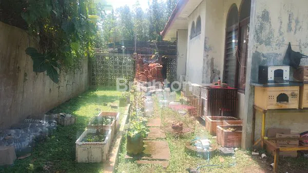 image RUMAH LUAS 1.075M² DI LOJI BOGOR (8)