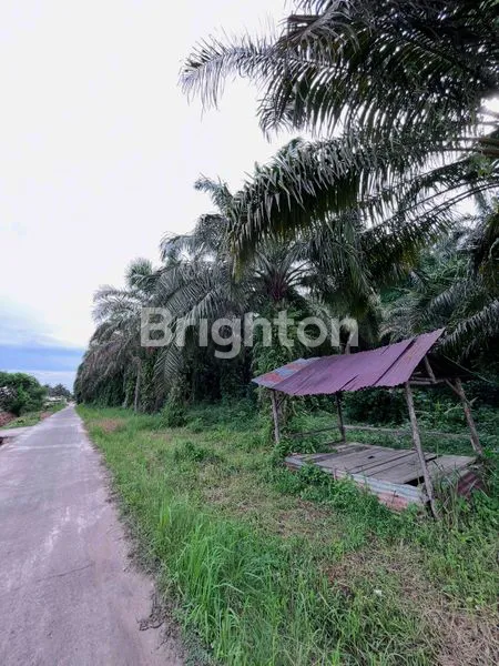 image TANAH DEKAT PT WILMAR & SPBU MUNDAM — ARIFIN AHMAD DUMAI (1)