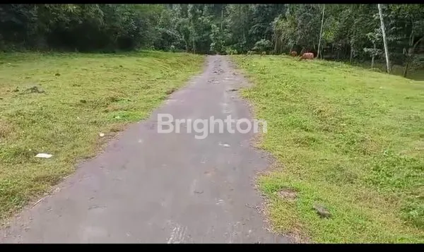 image TANAH KAVLING STRATEGIS DI TABANAN BALI (3)