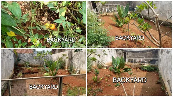 image HUNIAN "SLOW LIVING" DENGAN AVIARY & HALAMAN LUAS DI PERBATASAN TANGERANG (4)