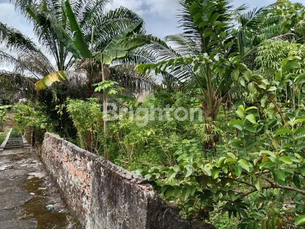 image TANAH 2000M² + RUMAH & 4 KIOS DI SAIL (6)