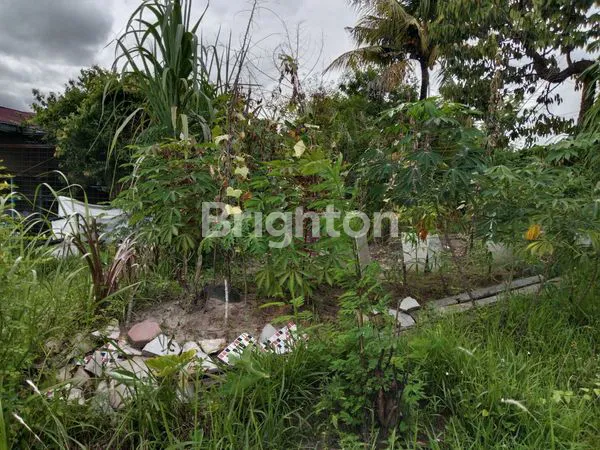 image TANAH 2000M² + RUMAH & 4 KIOS DI SAIL (4)