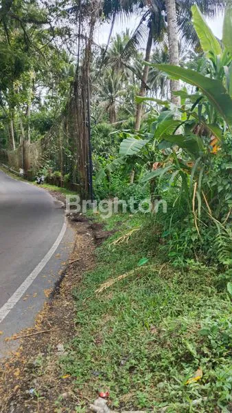 image TANAH LUAS 40 ARE DIJUAL LOKASI TEGALALANG GIANYAR (4)
