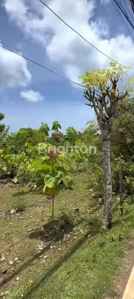 image DIJUAL TANAH JALAN PANTAI BALANGAN (3)