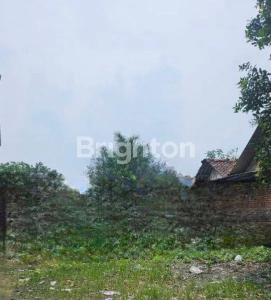 LAHAN SHM 1000M², LOKASI BISNIS RUMPIN BOGOR