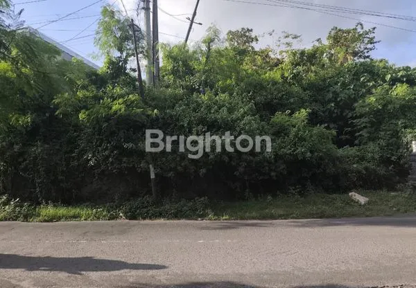 image HOT DEAL! TANAH DATAR 575 METER PINGGIR JALAN JAYA SAKTI, AKSES 8 METER – LOKASI STRATEGIS\\N PEGUYANGAN DENPASAR BALI (3)