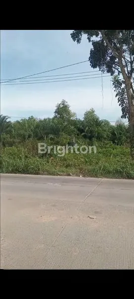 image DIJUAL TANAH STRATEGIS – PALAS, KOTA DUMAI (PINGGIR JALAN BESAR) (3)