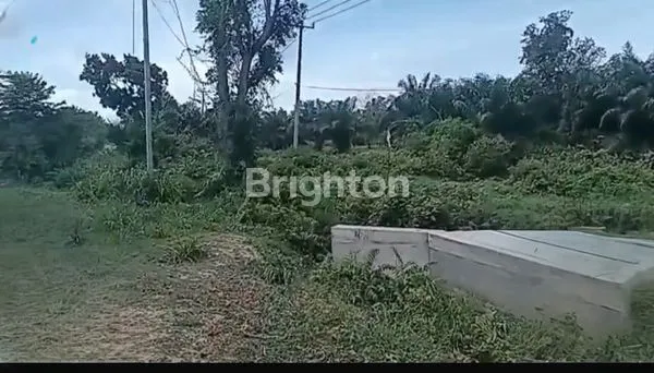 image DIJUAL TANAH STRATEGIS – PALAS, KOTA DUMAI (PINGGIR JALAN BESAR) (6)