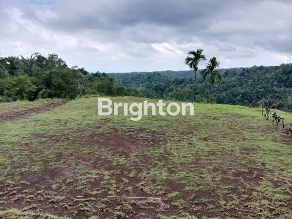 image CLUSTER 2 TABANAN, INVESTASI KEBUN DURIAN & VILLA VIEW GUNUNG BATUKARU (1)