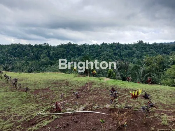 image CLUSTER 2 TABANAN, INVESTASI KEBUN DURIAN & VILLA VIEW GUNUNG BATUKARU (6)