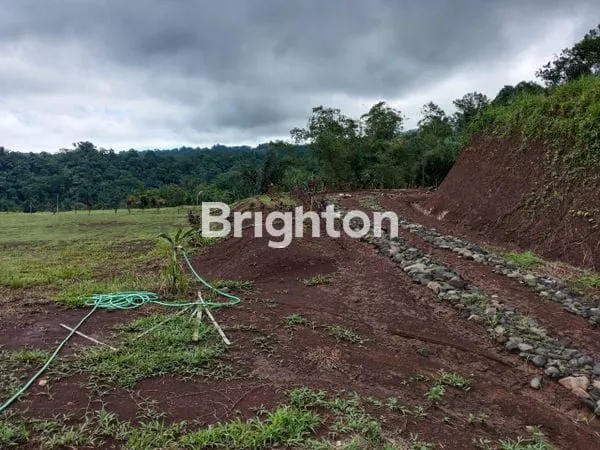 image CLUSTER 2 TABANAN, INVESTASI KEBUN DURIAN & VILLA VIEW GUNUNG BATUKARU (4)