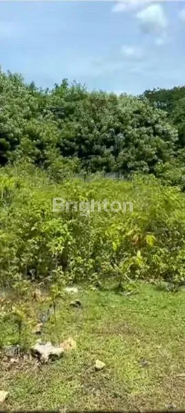 image DIJUAL TANAH KAMPUS UNUD JIMBARAN (2)