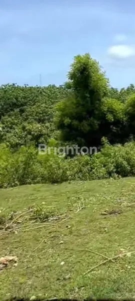 image DIJUAL TANAH KAMPUS UNUD JIMBARAN (1)