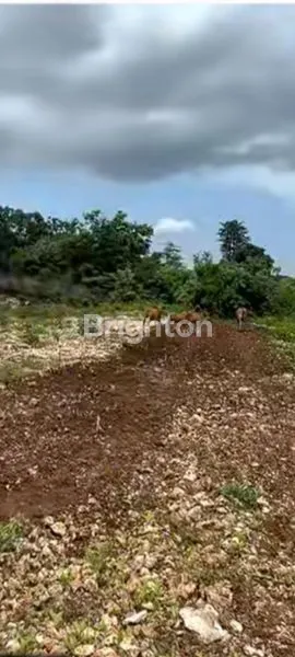 image DIJUAL TANAH KAMPUS UNUD JIMBARAN (6)