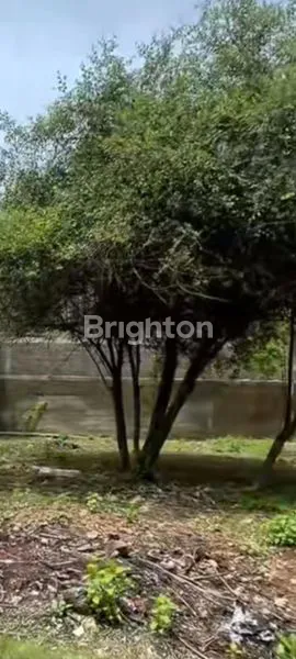 image DIJUAL TANAH KAMPUS UNUD JIMBARAN (6)