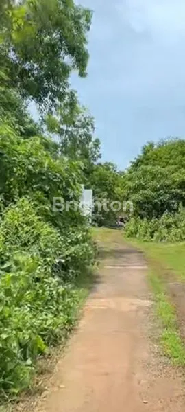 image DIJUAL TANAH KAMPUS UNUD JIMBARAN (4)