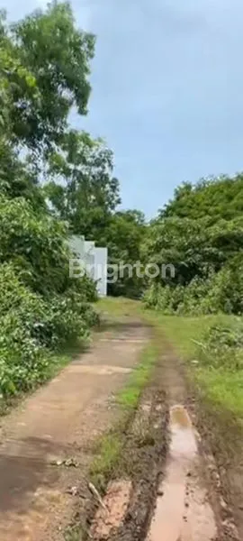 image DIJUAL TANAH KAMPUS UNUD JIMBARAN (3)