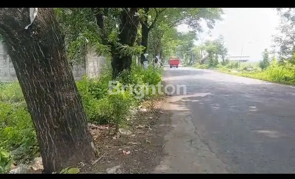 image INVESTASI TANAH SAWAH YANG SANGAT LUAS 0.JALAN RAYA DIDESA SELOREJO MOJOWARNO JOMBANG (2)