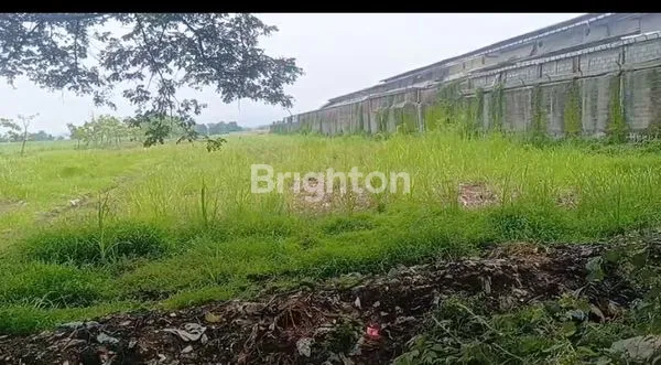 image INVESTASI TANAH SAWAH YANG SANGAT LUAS 0.JALAN RAYA DIDESA SELOREJO MOJOWARNO JOMBANG (1)
