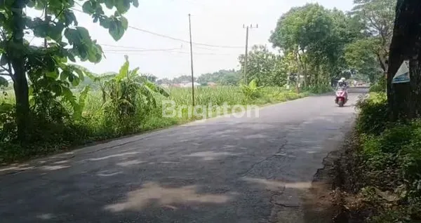 image INVESTASI TANAH SAWAH YANG SANGAT LUAS 0.JALAN RAYA DIDESA SELOREJO MOJOWARNO JOMBANG (3)