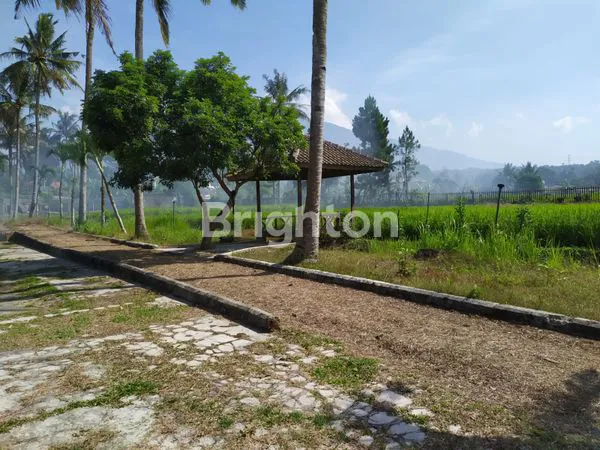 image INVESTASI STRATEGIS: VILLA RESORT SHM DI CICURUG (6)