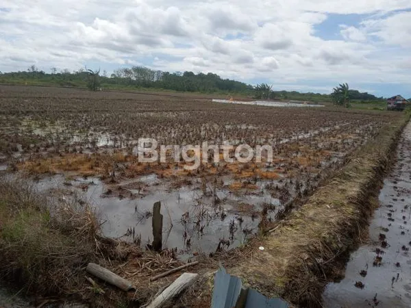 image DIJUAL TANAH SAWAH (1)