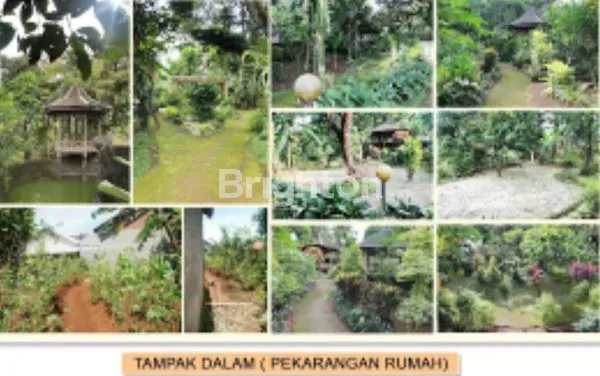 image RUMAH KEBUN ASRI (5)