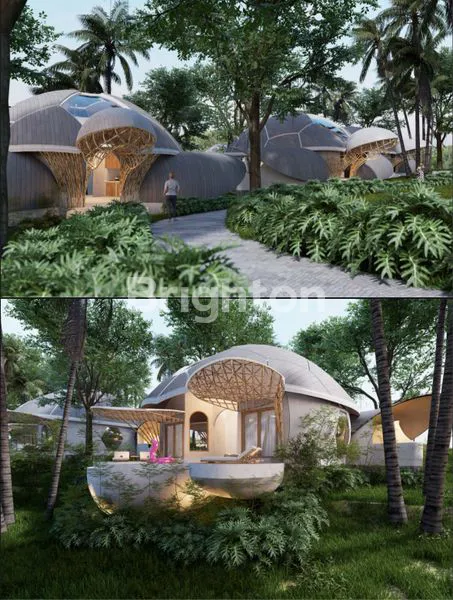 image D TURTLE VILLA NUSA PENIDA (1)