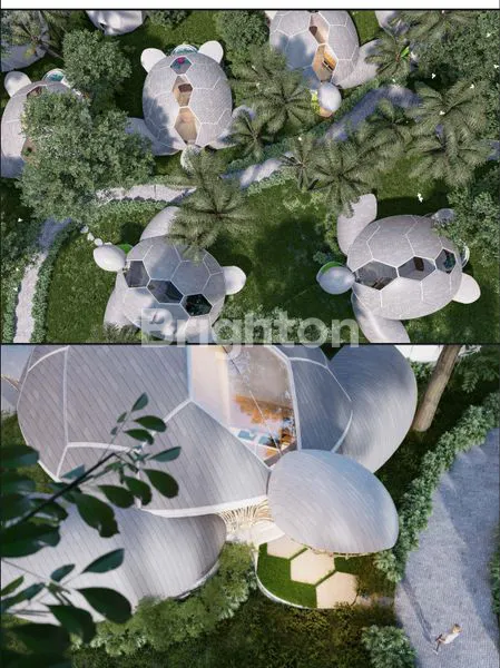 image D TURTLE VILLA NUSA PENIDA (3)