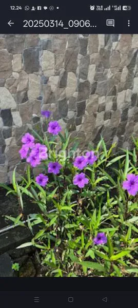 image GRAND SEMANGGI RESIDENCE MINIMALIS MODERN (2)