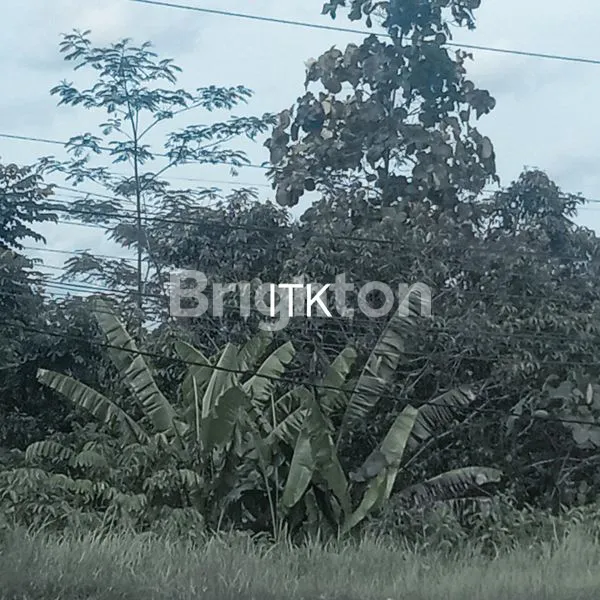 image LAHAN SIAP BANGUN DEKAT ITK, AKSES JALAN BAGUS (1)