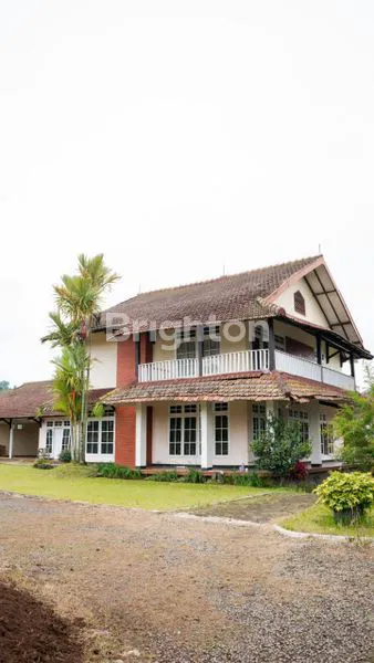 image INVESTASI VILLA LEMBANG, LUAS TANAH 9169M², HARGA MENARIK (5)