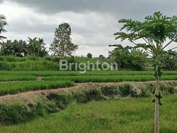 image TANAH EKSLUSIF 2.825 M2 ZONA PARIWISATA VIEW GUNUNG DAN HAMPARAN SAWAH HIJAU YANG MENENANGKAN DI UBUD  (4)