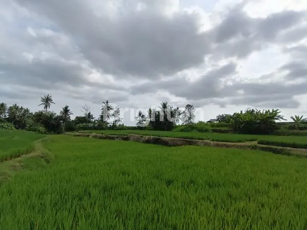 TANAH EKSLUSIF 2.825 M2 ZONA PARIWISATA VIEW GUNUNG DAN HAMPARAN SAWAH HIJAU YANG MENENANGKAN DI UBUD
