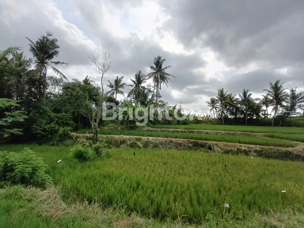 image TANAH EKSLUSIF 2.825 M2 ZONA PARIWISATA VIEW GUNUNG DAN HAMPARAN SAWAH HIJAU YANG MENENANGKAN DI UBUD  (5)